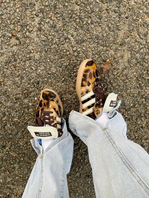 144425572-1728750357.3023